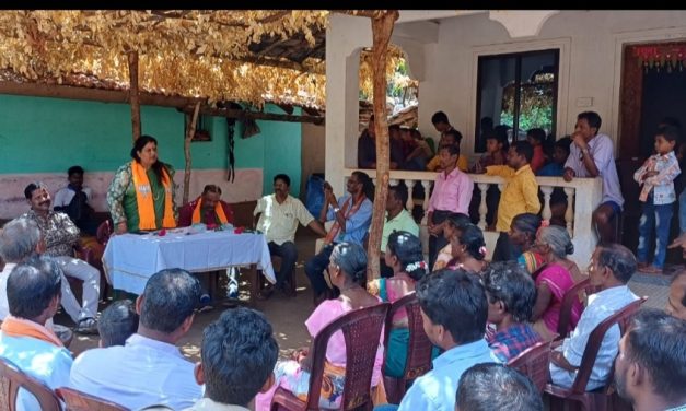 ಇನ್ನಷ್ಟು ಅಭಿವೃದ್ಧಿ ಮಾಡಲು ಆಶೀರ್ವಾದ ಮಾಡಿ : ರೂಪಾಲಿ ನಾಯ್ಕ