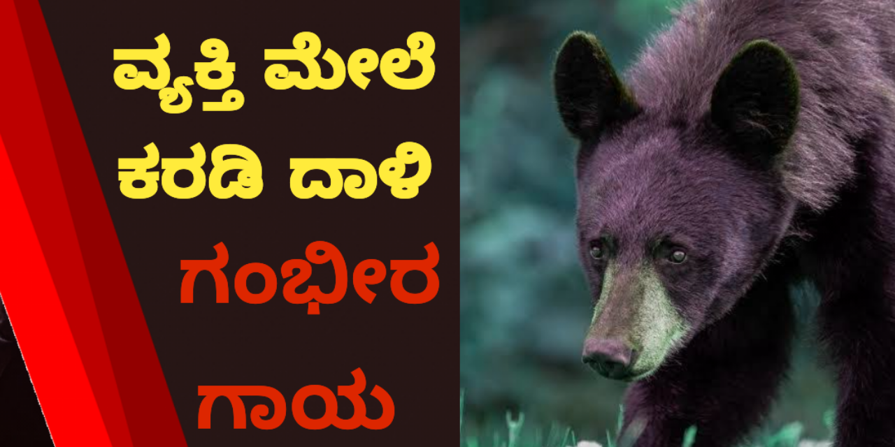 ಕಾಡಿನಲ್ಲಿ ಹೋಗುತ್ತಿದ್ದ ವ್ಯಕ್ತಿ ಮೇಲೆ ಕರಡಿ ದಾಳಿ : ಗಂಭೀರ ಗಾಯ