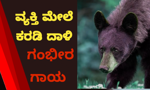 ಕಾಡಿನಲ್ಲಿ ಹೋಗುತ್ತಿದ್ದ ವ್ಯಕ್ತಿ ಮೇಲೆ ಕರಡಿ ದಾಳಿ : ಗಂಭೀರ ಗಾಯ