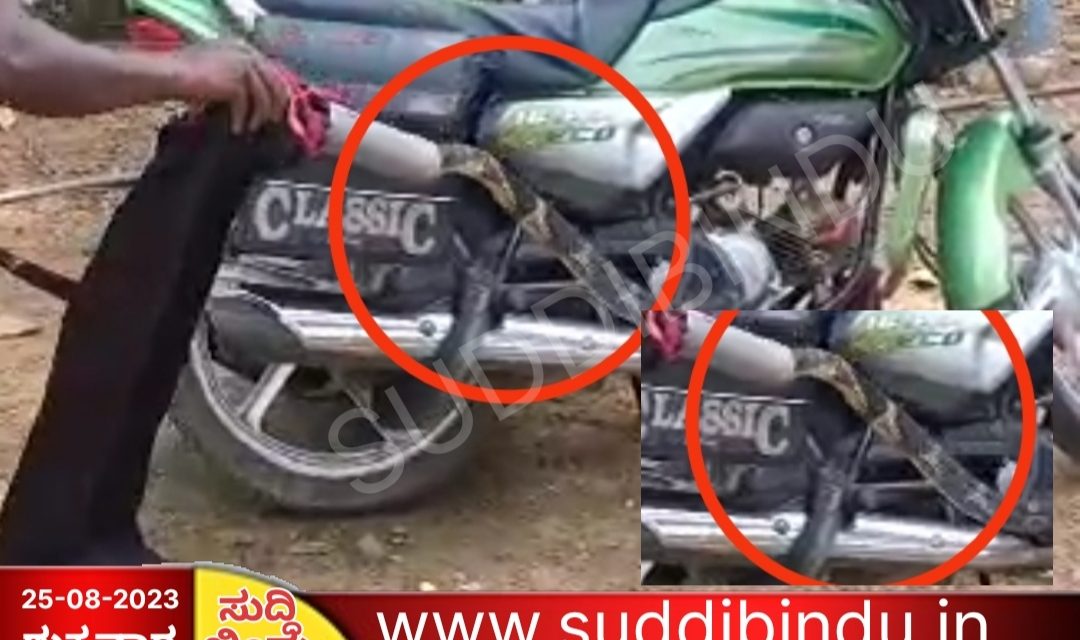 ನಿಲ್ಲಿಸಿಟ್ಟ ಬೈಕ್ ನಲ್ಲಿ ಕಾಳಿಂಗ ಸರ್ಪ ಪತ್ತೆ