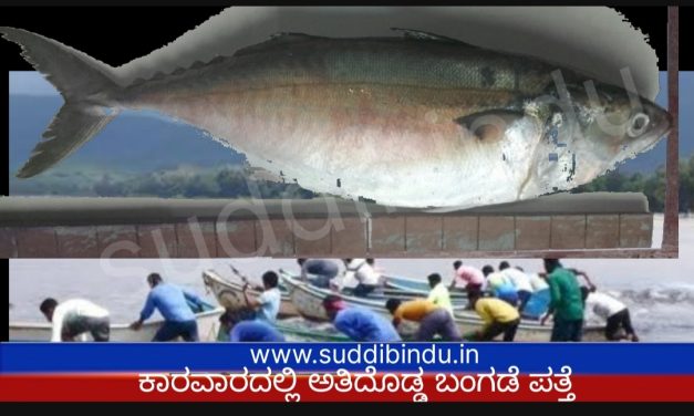 Karwar, ಕಾರವಾರದಲ್ಲಿ ಪತ್ತೆ ಆಯತ್ತು ದೇಶದ ಅತಿ ದೊಡ್ಡ ಬಂಗಡೆ ಮೀನು..!