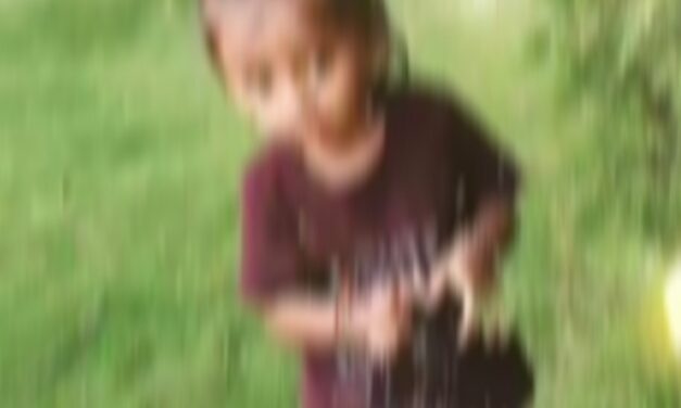 ಇಟ್ಟಿಗೆ ತೊಟ್ಟಿಯಲ್ಲಿ ಬಿದ್ದು ಮೂರು ವರ್ಷದ ಕಂದಮ್ಮ ಸಾವು