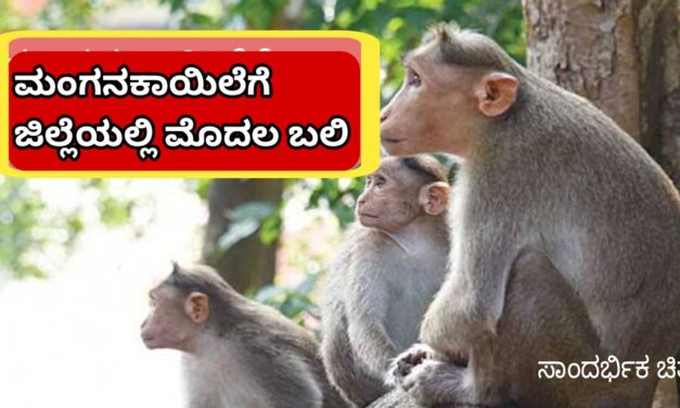ಮಂಗನಕಾಯಿಲೆಗೆ ಜಿಲ್ಲೆಯಲ್ಲಿ ಮೊದಲ ಬಲಿ