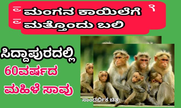 Monkey disease :ಮಂಗನ ಕಾಯಿಲೆಗೆ ಮತ್ತೊಂದು ಬಲಿ