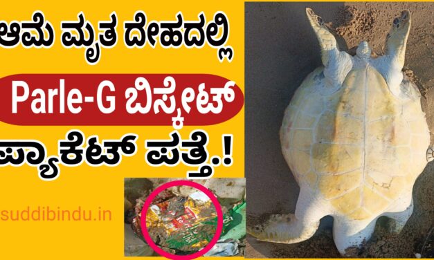 Tortoise:ಆಮೆ ಮೃತ ದೇಹದಲ್ಲಿ ಪಾರ್ಲೇ-ಜಿ ಬಿಸ್ಕೇಟ್ ಪ್ಯಾಕೆಟ್ ಪತ್ತೆ.!