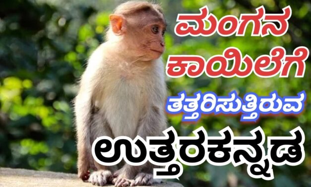 Monkey Pox : ಮಂಗನ ಕಾಯಿಲೆಗೆ ತತ್ತರಿಸುತ್ತಿರುವ ಉತ್ತರಕನ್ನಡ. 36ಕ್ಕೆ ಏರಿಕೆ
