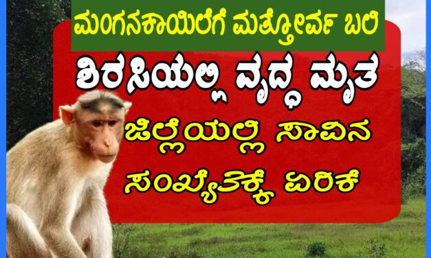 Monkey Fever,ಮಂಗನಕಾಯಿಲೆಗೆ ಜಿಲ್ಲೆಯಲ್ಲಿ ಮತ್ತೋರ್ವ ಬಲಿ : ಸಾವಿನ ಸಂಖ್ಯೆ 3ಕ್ಕೆ ಏರಿಕೆ