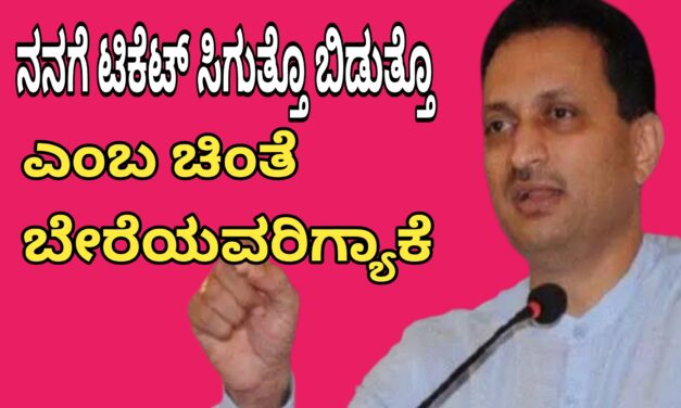 ನನಗೆ ಟಿಕೆಟ್ ಸಿಗುತ್ತೊ ಬಿಡುತ್ತೊ ಎಂಬ ಚಿಂತೆ ಬೇರೆಯವರಿಗ್ಯಾಕೆ