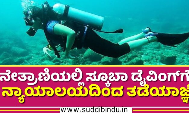 ನೇತ್ರಾಣಿಯಲ್ಲಿ ಸ್ಕೂಬಾ ಡೈವಿಂಗ್‌ಗೆ ನ್ಯಾಯಾಲಯದಿಂದ ತಡೆಯಾಜ್ಞೆ