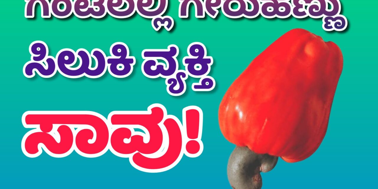 ಗಂಟಲಲ್ಲಿ ಗೇರುಹಣ್ಣು ಸಿಲುಕಿ ವ್ಯಕ್ತಿ ಸಾವು.