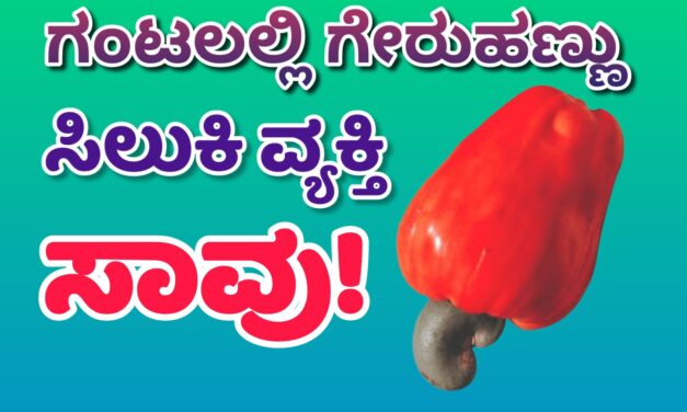 ಗಂಟಲಲ್ಲಿ ಗೇರುಹಣ್ಣು ಸಿಲುಕಿ ವ್ಯಕ್ತಿ ಸಾವು.