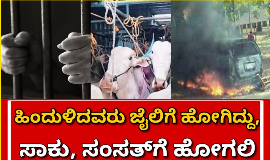 ಹಿಂದುಳಿದವರು ಜೈಲಿಗೆ ಹೋಗಿದ್ದು, ಸಾಕು, ಸಂಸತ್‌ಗೆ ಹೋಗಲಿ