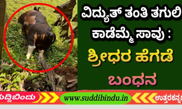 ವಿದ್ಯುತ್ ತಂತಿ ತಗುಲಿ ಕಾಡೆಮ್ಮೆ ಸಾವು : ಶ್ರೀಧರ ಹೆಗಡೆ ಬಂಧನ
