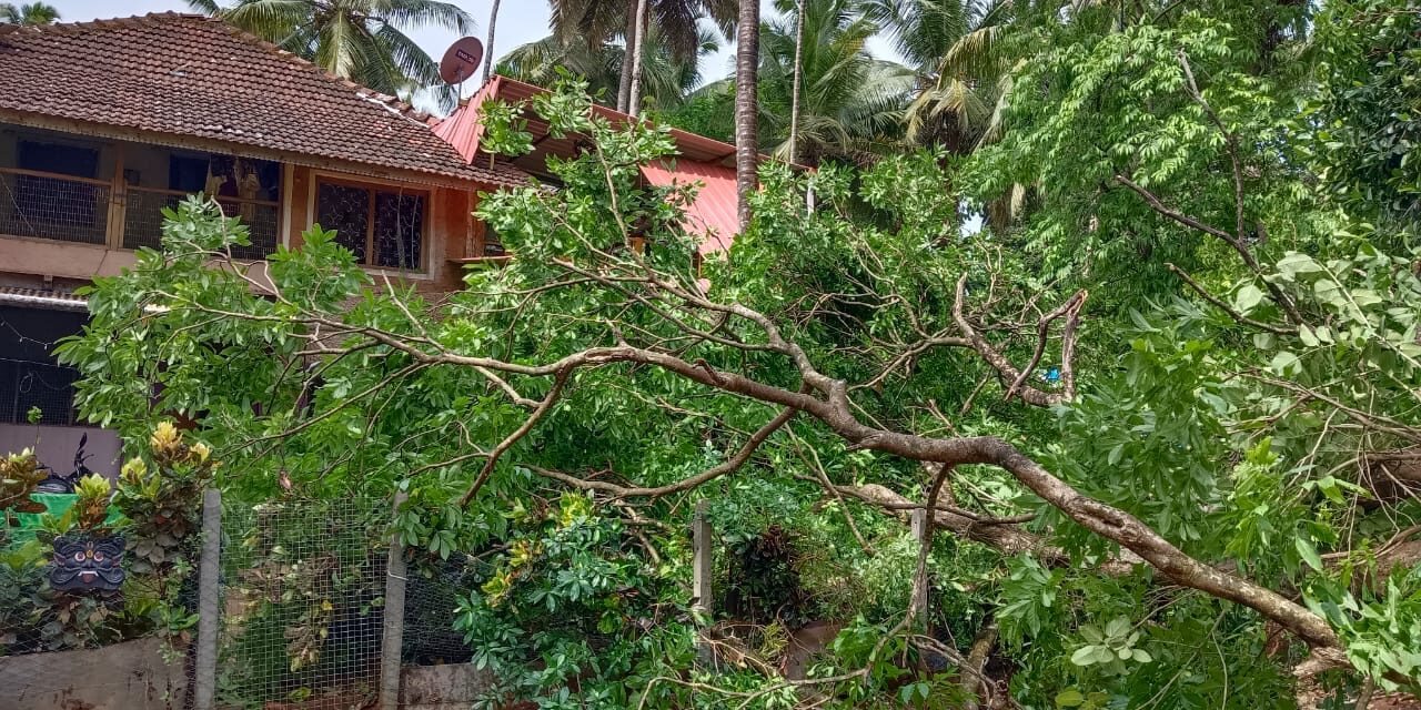 ಮನೆ ಮೇಲೆ ಮರ ಬಿದ್ದು ಲಕ್ಷಾಂತರ ರೂಪಾಯಿ ಹಾನಿ