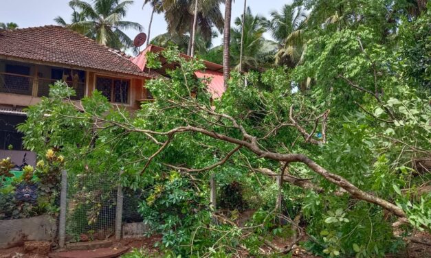 ಮನೆ ಮೇಲೆ ಮರ ಬಿದ್ದು ಲಕ್ಷಾಂತರ ರೂಪಾಯಿ ಹಾನಿ