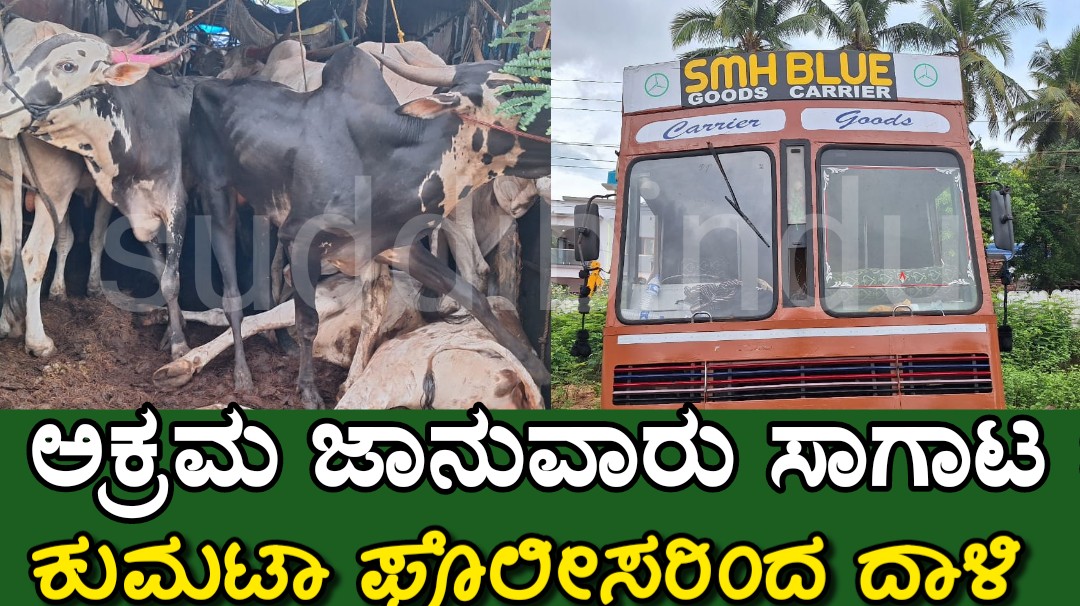 ಅಕ್ರಮ ಜಾನುವಾರು ಸಾಗಾಟ : ಕುಮಟಾ ಪೊಲೀಸರಿಂದ ದಾಳಿ