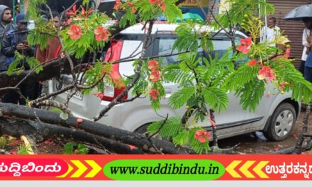 ಕಾರುಗಳ‌ ಮೇಲೆ ಉರುಳಿದ ಬಿದ್ದ ಬೃಹತ್ ಗಾತ್ರದ ಮರ : ಕಾರು ಜಖಂ