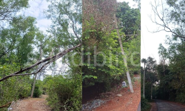 KEB ಅಧಿಕಾರಗಳ ನಿರ್ಲಕ್ಷ : ನೆಲಕ್ಕುರುಳಿದ ವಿದ್ಯುತ್ ಕಂಬಗಳು