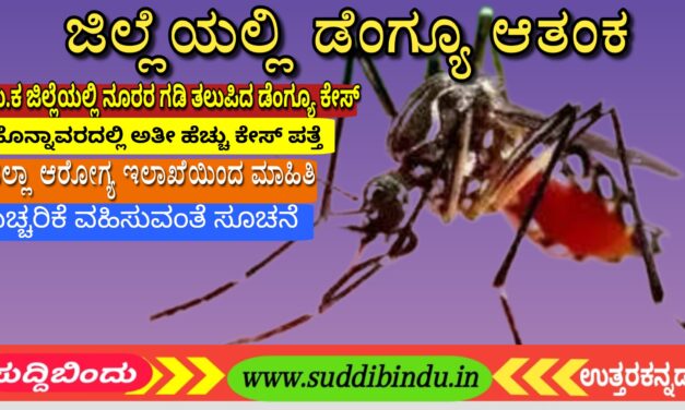 ಉತ್ತರ ಕನ್ನಡದಲ್ಲಿ ನೂರರ ಗಡಿ ತಲುಪಿದ ಡೆಂಗ್ಯೂ ಪ್ರಕರಣ