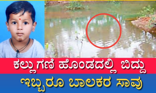 ಕಲ್ಲುಗಣಿ ಹೊಂಡದಲ್ಲಿ ಬಿದ್ದು ಇಬ್ಬರೂ ಬಾಲಕರ ಸಾವು