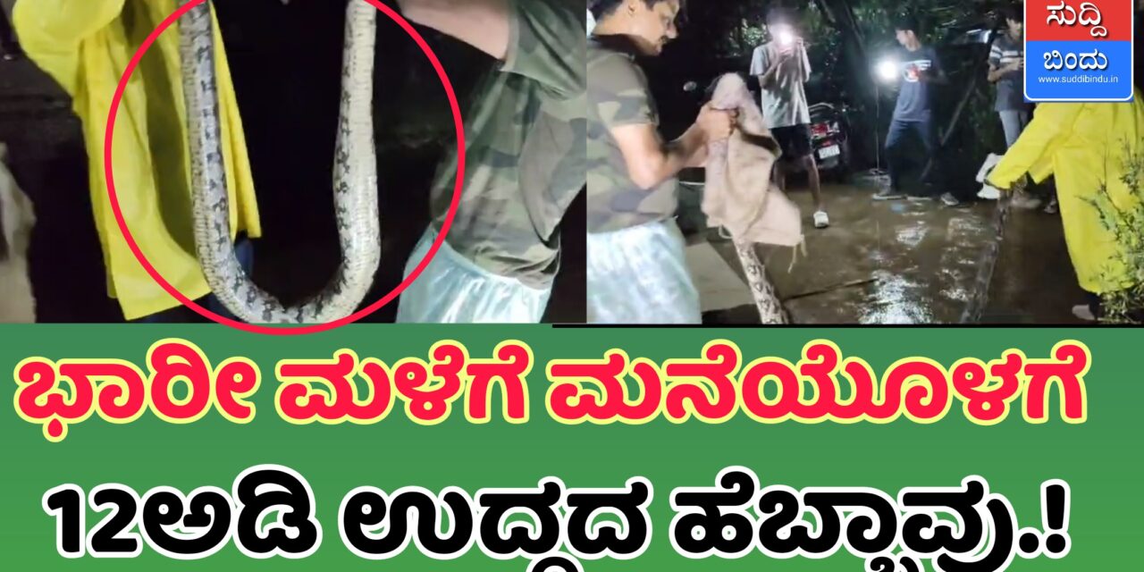 ಭಾರೀ ಮಳೆಗೆ ಮನೆಯೊಳಗೆ 12ಅಡಿ ಉದ್ದದ ಹೆಬ್ಬಾವು..!
