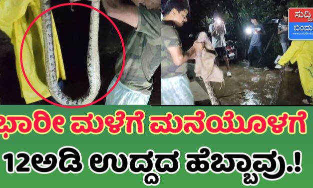 ಭಾರೀ ಮಳೆಗೆ ಮನೆಯೊಳಗೆ 12ಅಡಿ ಉದ್ದದ ಹೆಬ್ಬಾವು..!