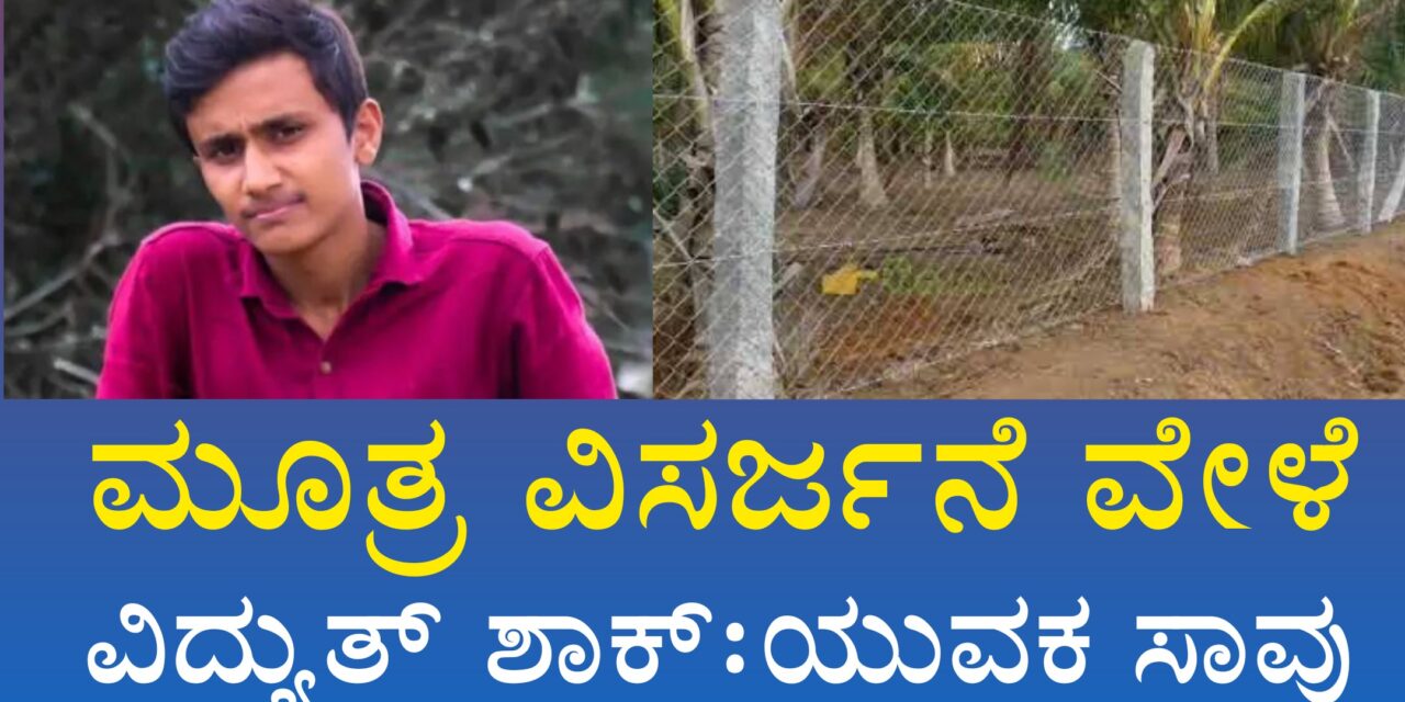 ಮೂತ್ರ ವಿಸರ್ಜನೆ ವೇಳೆ ವಿದ್ಯುತ್ ಶಾಕ್ : ಯುವಕ ಸಾವು