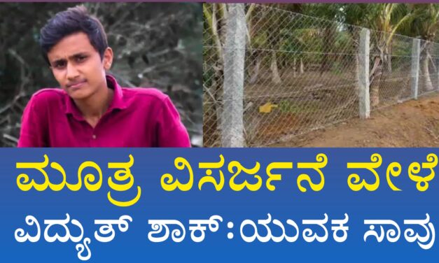 ಮೂತ್ರ ವಿಸರ್ಜನೆ ವೇಳೆ ವಿದ್ಯುತ್ ಶಾಕ್ : ಯುವಕ ಸಾವು