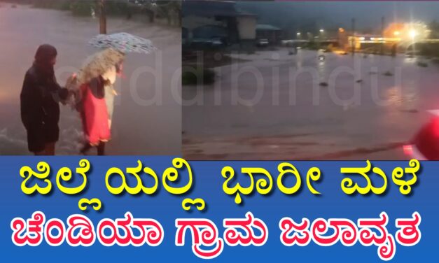 ಜಿಲ್ಲೆಯಲ್ಲಿ ಭಾರೀ ಮಳೆ : ಚೆಂಡಿಯಾ ಗ್ರಾಮ ಜಲಾವೃತ