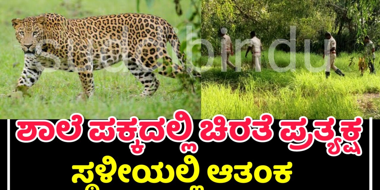 ಶಾಲೆ ಪಕ್ಕದಲ್ಲಿ ಚಿರತೆ ಪ್ರತ್ಯಕ್ಷ :ಸ್ಥಳೀಯರಲ್ಲಿ ಆತಂಕ