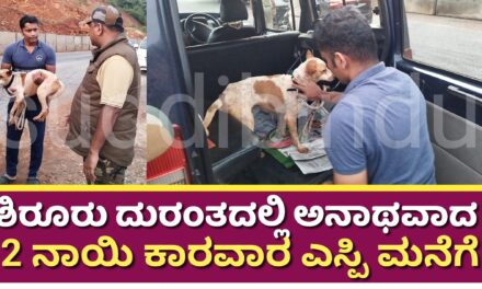 ಶಿರೂರು ದುರಂತದಲ್ಲಿ ಅನಾಥವಾದ 2 ನಾಯಿ ಕಾರವಾರ ಎಸ್ಪಿ ಮನೆಗೆ