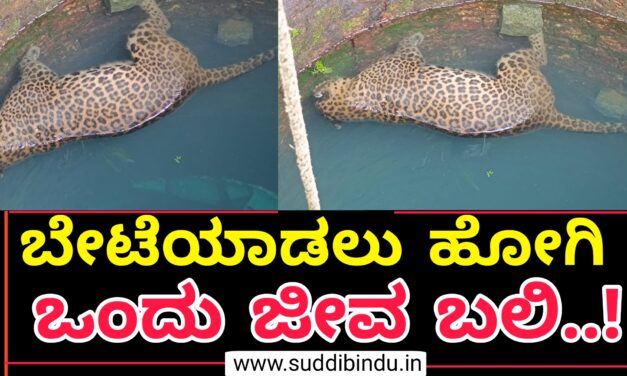 ಬೇಟೆಯಾಡಲು ಹೋಗಿ ಒಂದು ಜೀವ ಬಲಿ..!