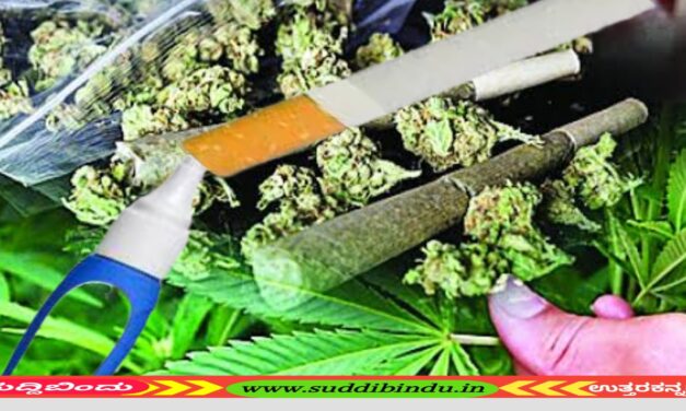 ಗ್ರಾಮೀಣ‌ ಭಾಗದಲ್ಲಿ ಹೆಚ್ಚಿದೆ ಗಾಂಜಾ ಘಾಟು