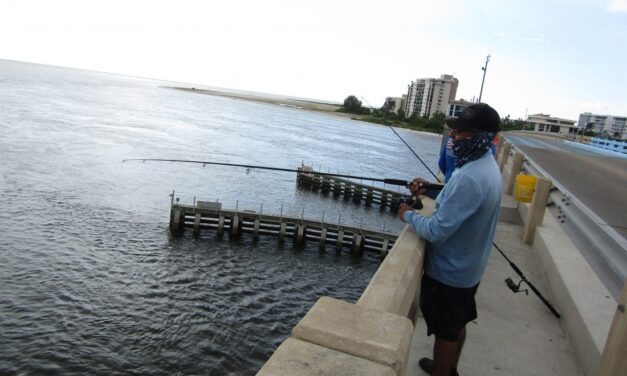 ಮೀನಿಗೆ ಗಾಳ ಹಾಕಲು ಹೋಗಿ ಜೀವ ಕಳೆದುಕೊಂಡ ಅಟೋ ಚಾಲಕ
