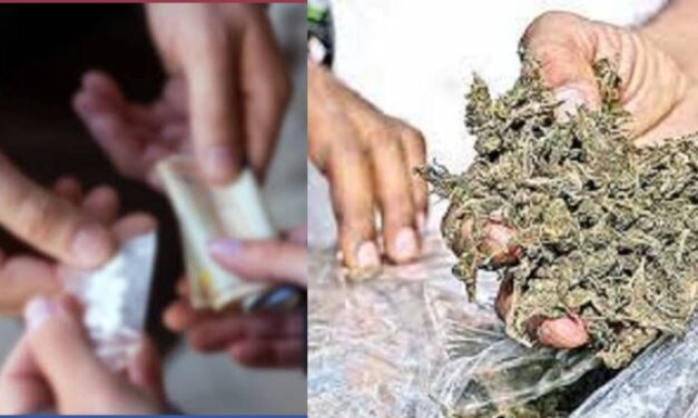 ಕೋಡ್ಕಣಿಯಲ್ಲಿ ಗಂಜಾ ಪೆಡ್ಲರ್‌ ಓರ್ವನ ಬಂಧನ