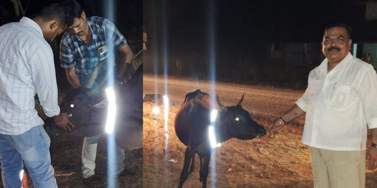 ಬಿಡಾಡಿ ದನಗಳಿಂದ ಸಂಭವಿಸುವ ಅಪಘಾತ ತಡೆಗೆ ಮುಂದಾದ ಅಬಕಾರಿ ಸಿಬ್ಬಂದಿಗಳು.