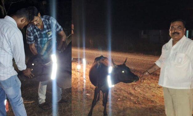 ಬಿಡಾಡಿ ದನಗಳಿಂದ ಸಂಭವಿಸುವ ಅಪಘಾತ ತಡೆಗೆ ಮುಂದಾದ ಅಬಕಾರಿ ಸಿಬ್ಬಂದಿಗಳು.