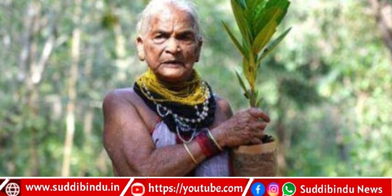 ವೃಕ್ಷ ಮಾತೆ ಪದ್ಮಶ್ರೀ ತುಳಸಿ ಗೌಡ ನಿಧನ
