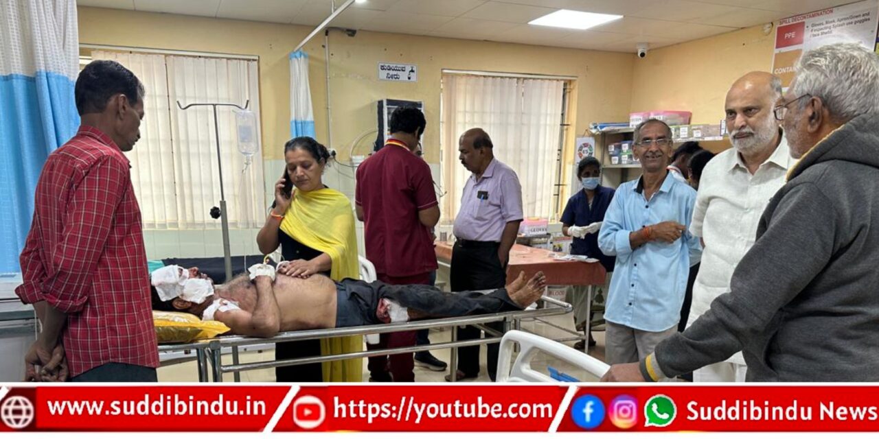 ಗ್ರಾಮ ಪಂಚಾಯತ್ ಸದಸ್ಯನ ಮೇಲೆ ಕರಡಿಗಳಿಂದ ದಾಳಿ