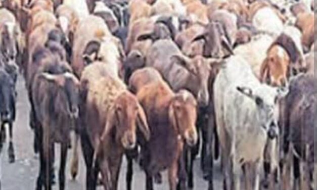 ತನ್ನ ಸ್ವಾರ್ಥಕ್ಕೆ ಕಾರ್ಯಕರ್ತರನ್ನು ಬಲಿಕೊಡುವ ಜನಪ್ರತಿನಿಧಿ