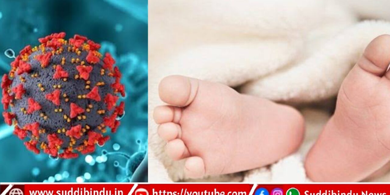 HMPVವೈರಸ್ ಪ್ರಕರಣ: ಆರೋಗ್ಯ ಸಚಿವಾಲಯದಿಂದ ದೃಢೀಕರಣ, ಕರ್ನಾಟಕದಲ್ಲಿ ಇಬ್ಬರು ಶಿಶುಗಳಿಗೆ ಪಾಸಿಟಿವ್