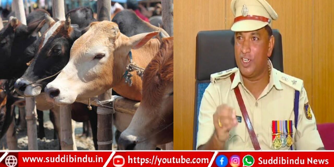 ಗರ್ಭದ ಗೋ ಹತ್ಯೆ ಪ್ರಕರಣ : ಪ್ರಮುಖ ಆರೋಪಿ ಸುಳಿವು ನೀಡಿವರಿಗೆ 50 ಸಾವಿರ ಬಹುಮಾನ