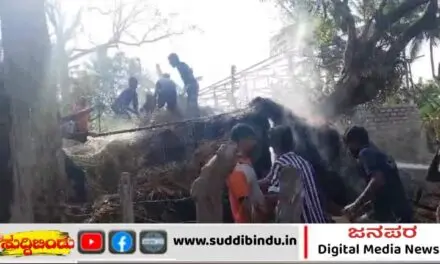 ಹುಲ್ಲಿನ ಬಣವೆಗೆ ಬೆಂಕಿ:ಲಕ್ಷಾಂತರ ರೂ ಹಾನಿ