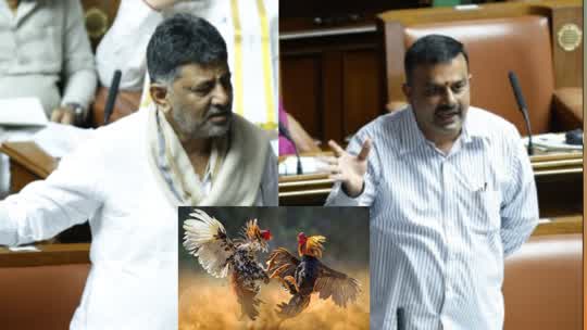 ಬೇಕೆ ಬೇಕು..ಕೋಳಿ ಅಂಕ ಬೇಕು..!ಅಧಿವೇಶನದಲ್ಲಿ‌ ಬಿಸಿ ಬಿಸಿ ಚರ್ಚೆ