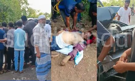 Road accident /ಹೊನ್ನಾವರ ಬಳಿ ನಿಶ್ವಿತಾರ್ಥಕ್ಕೆ ಬರುತ್ತಿದ್ದವರ ಕಾರು ಅಪಘಾತ : ಐವರು ಗಂಭೀರ