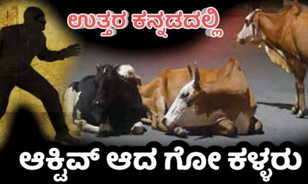 ಉತ್ತರ ಕನ್ನಡದಲ್ಲಿ ಮತ್ತೆ ಆಕ್ಟಿವ್ ಆದ ಗೋ‌ ಕಳ್ಳರು : ಗ್ರಾಮೀಣ ಭಾಗಗಳೆ ಟಾರ್ಗೆಟ್