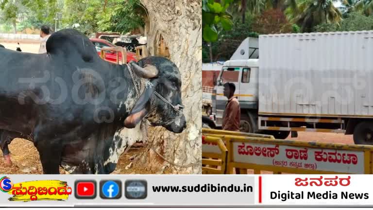 ಕುಮಟಾ ಪೊಲೀಸರ ಭರ್ಜರಿ ಕಾರ್ಯಚರಣೆ : ಗೋವು ಕಳ್ಳರ‌‌ ಬಂಧನ