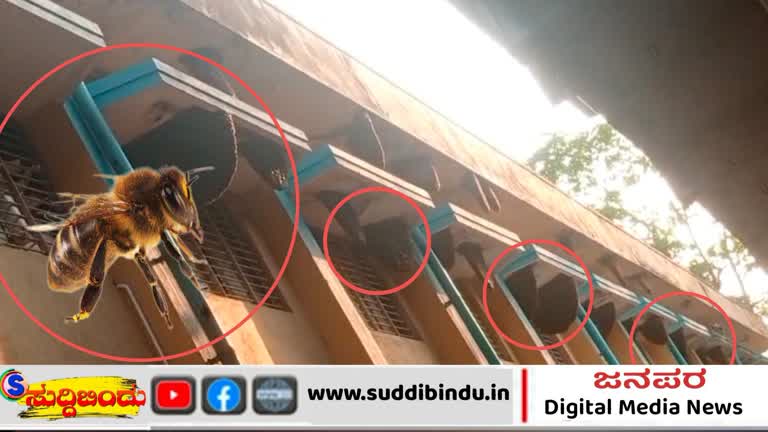 ಕೈಗಾರಿಕಾ ಪ್ರದೇಶದಲ್ಲಿ ಹೆಜ್ಜೇನು ದಾಳಿ : ಕಾರ್ಮಿಕರಿಗೆ ಗಾಯ