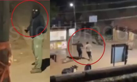 ಉತ್ತರ ಕನ್ನಡದಲ್ಲಿ ಮತ್ತೆ ಬಾಲ ಬಿಚ್ಚಿದ ಗೋ ಕಳ್ಳರು : ಮಾಜಾಳಿಯಲ್ಲಿ ಗೋ ಕಳ್ಳತನದ ವಿಡಿಯೋ ಸೆರೆ