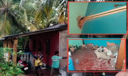 ಕಣ್ಣೆದುರೇ ಹಾದು ಹೋದ ಸಿಡಿಲು: ಅದೃಷ್ಟವಶಾತ್ ಪಾರಾದ ಎರಡು ಕುಟುಂಬ!